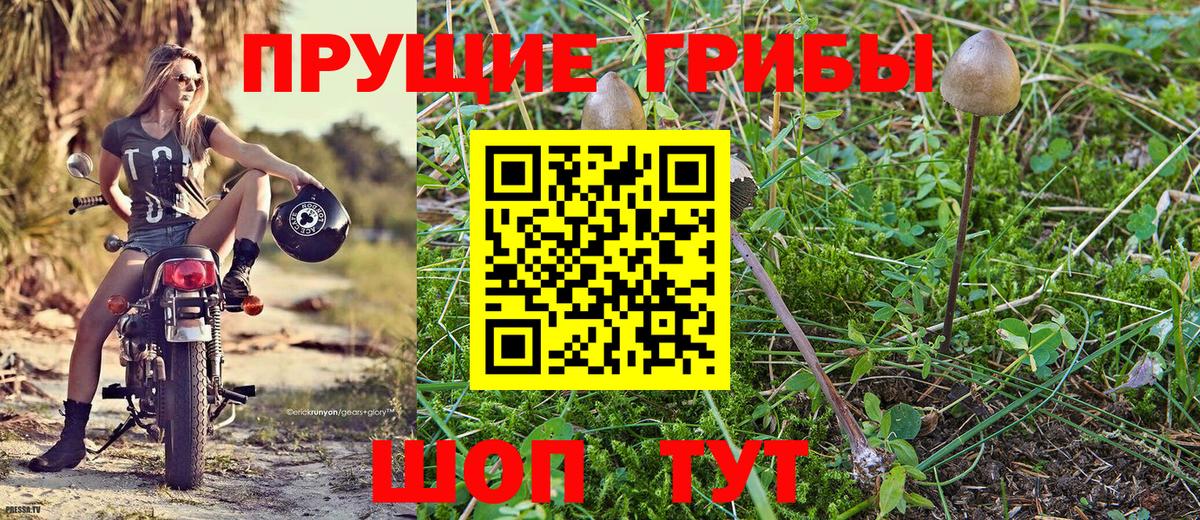 Галлюциногенные грибы ЛСД  Вход с VPN  Галлюциногенные грибы ЛСД  Новокузнецк 
