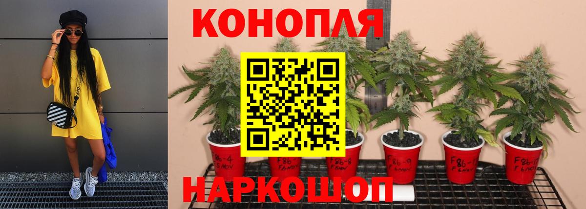 Шишки марихуана тримм  Бошки Шишки AK-47  Конопля White Widow  Новокузнецк  Вход с VPN 
